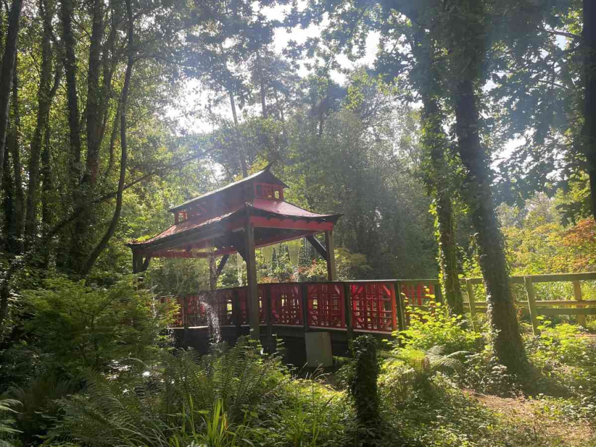 Robin Hill Adventure Park picture gallery